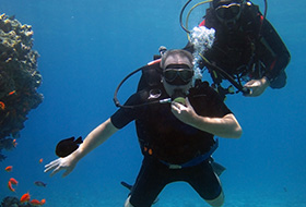 man diving with marine life